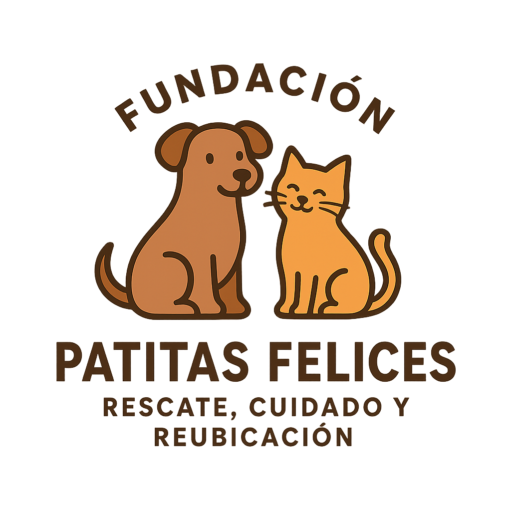 Logo Fundación